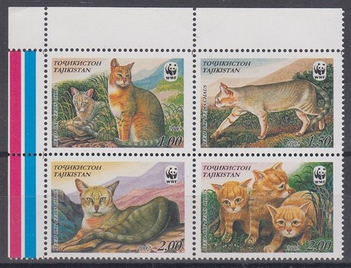 Tajikistan 2002 wwf - wwf, cat