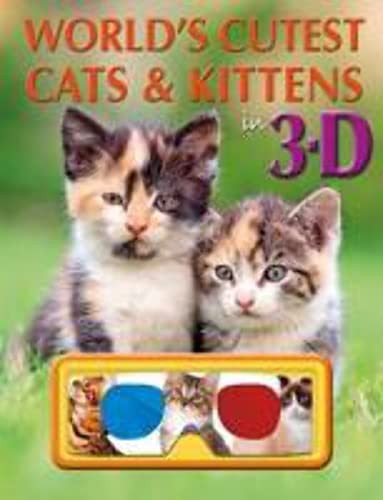 World cutest cats - cutest, &
