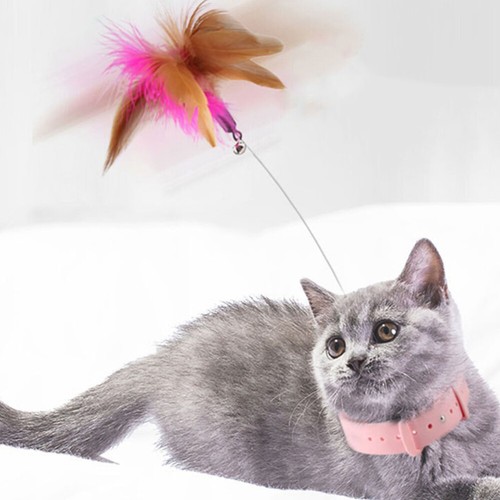 Pcs cat toys - 2, indoor