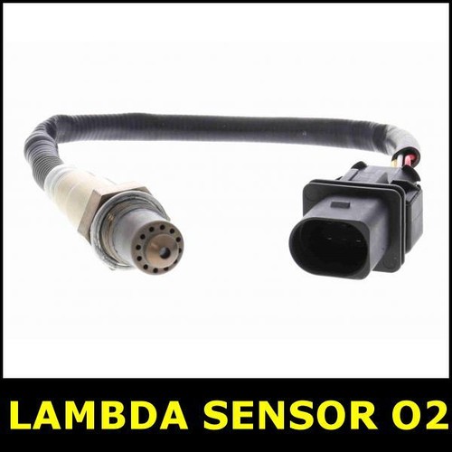 Lambda sensor before - lambda, cat