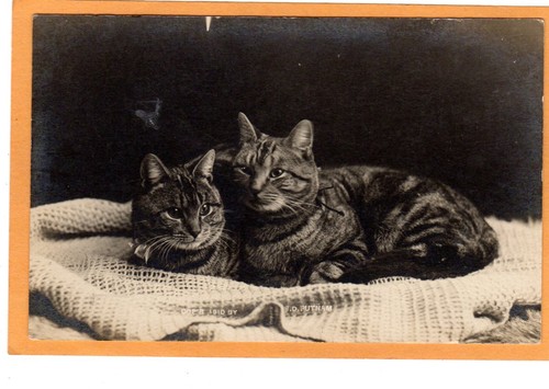 Real photo postcard - real,