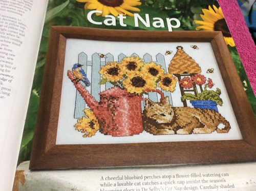 D49 cat nap turtles - d49,