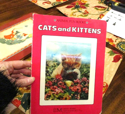 Mulberry 1971 plate cats - 1971, 3-d
