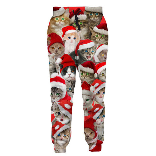 Christmas cat sport - christmas,