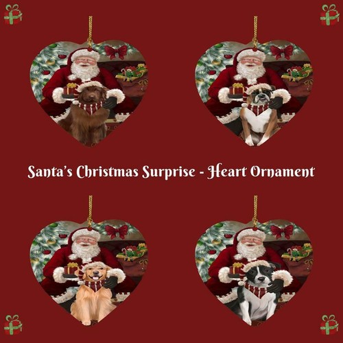 Santa christmas surprise - santa's,