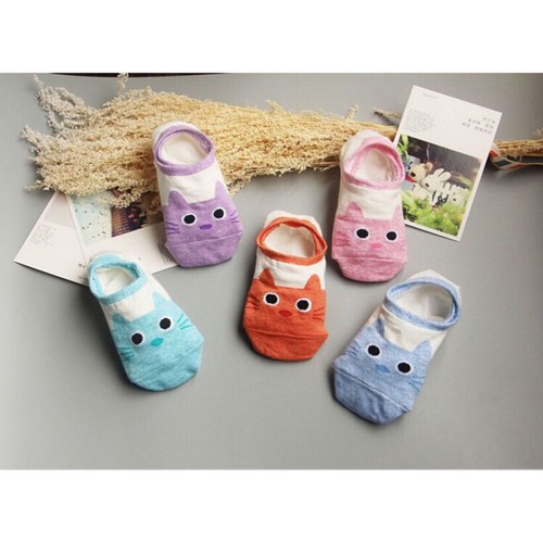 Sets chinchilla cat boat - 6,